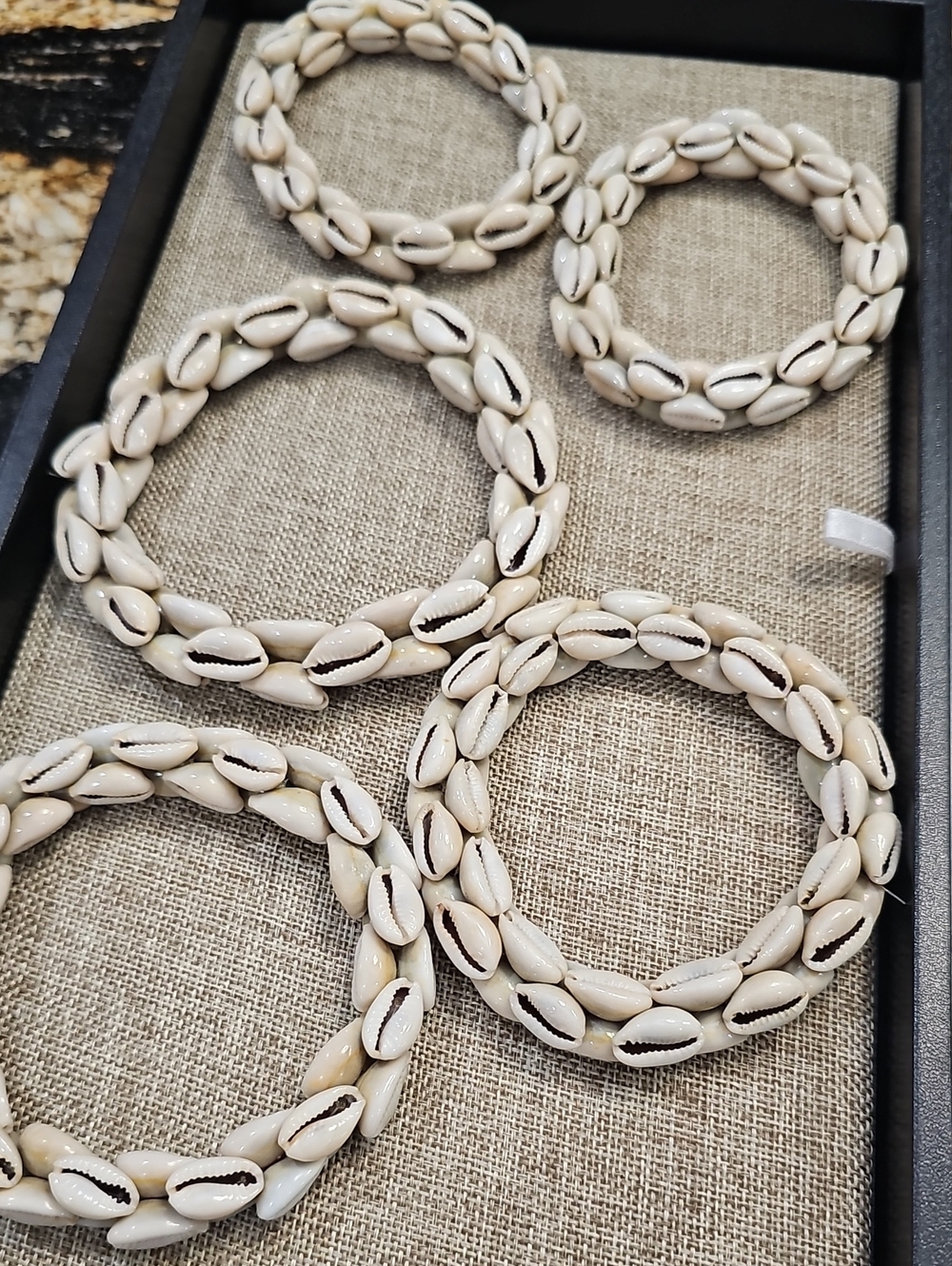 Cowrie Shell Set - Cream Shells - Picture 2 of 3
